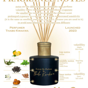 Thabo Kwakwa Diffuser No. 3